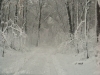winter-photo-2